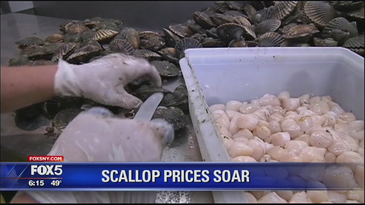 Scallop prices soar as demand increases FOX 5 New York