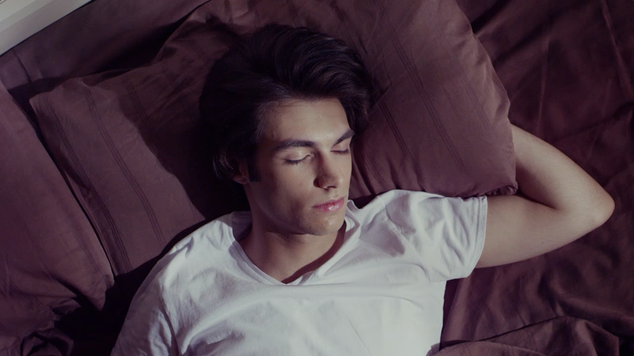 Chronic Fatigue Syndrome Could Be human Hibernation 