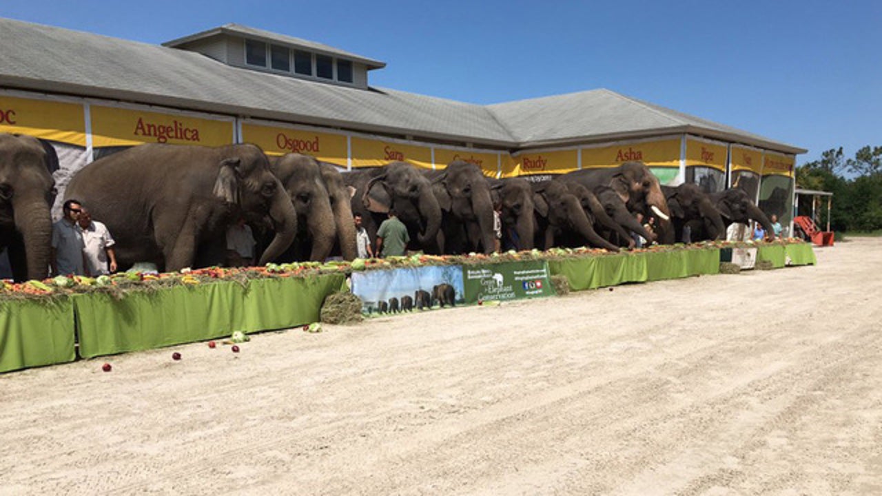 Circus banned from Bergen County property FOX 5 New York