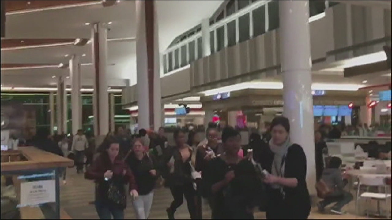 Large fight at Roosevelt Field Mall sends shoppers into a panic