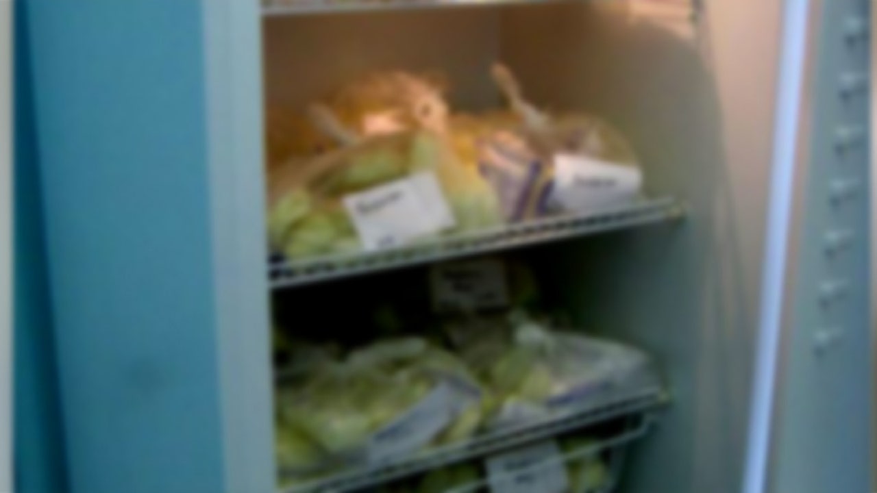 Woman charged after body found in freezer sold at yard sale FOX 5 New(01)