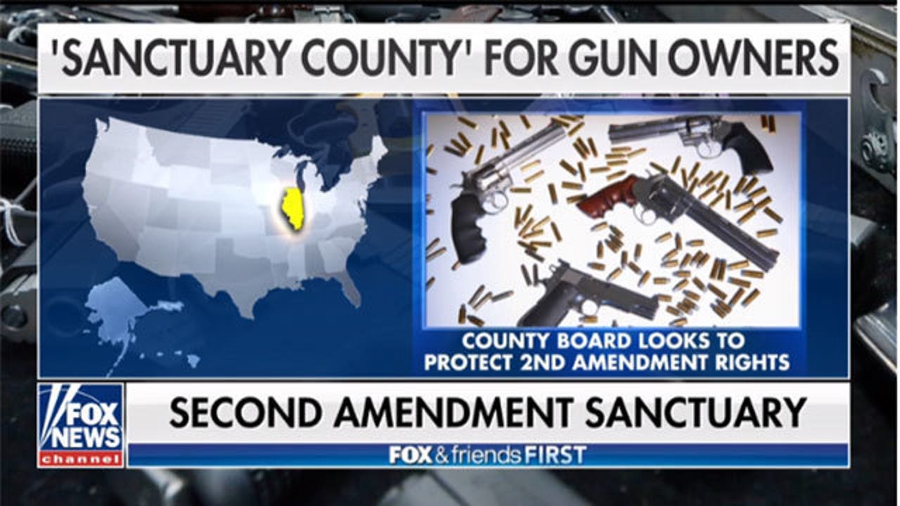 Illinois county declares itself a symbolic gun sanctuary