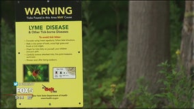 Lyme disease becomes campaign issue