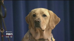 Henry Viscardi School welcomes Long Island’s first facility dog