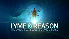 Lyme Disease resources