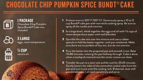 Sandra Lee's Chocolate Chip Pumpkin Spice Bundt Cake