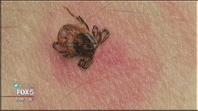 Scientists: New bacterium can cause Lyme disease