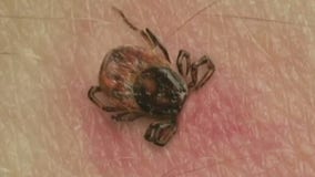 Lawmaker: NY should increase funds to fight Lyme Disease