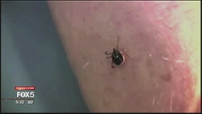 Hot, dry summer bringing fewer cases of Lyme disease