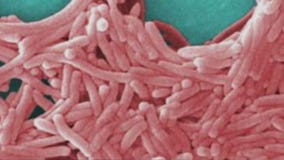 The Big Idea: Fighting superbugs