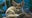 Small foxes with big ears debut at Prospect Park Zoo