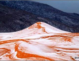SAHARA SNOW KARIM BOUCHETATA 2_1482410175521-401385.jpg