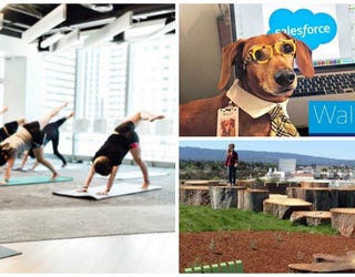 tech_perks_collage_1477519001769-405538.jpg