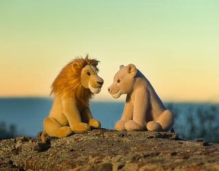 LionKing_AdultSimba_AdultNala_0L4A7630_1562457179349.jpg