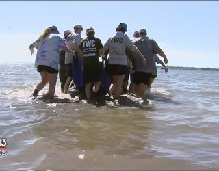 3_trapped_manatees_rescued__released_int_1_20181017022940-401385