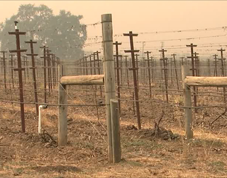 11TU NAPA WINERIES 2_00.00.00.00_1507725335145-405538.png