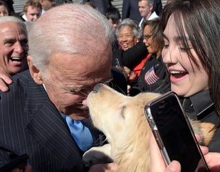 bidendog2_1490409691638.jpg