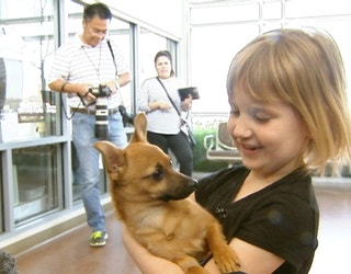 S-CARROLLTON PUPPY HEROIN O_1489015851018-409650.jpg