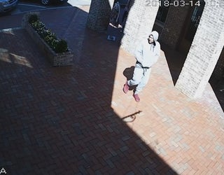 P SENOIA FLASHER ARREST 10P _00.00.03.19_1523501191220.png-404959.jpg