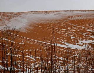 SAHARA SNOW KARIM BOUCHETATA 8_1482410177391-401385.jpg