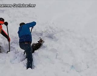 AP_OBB_BURIED_GOAT_010919_1547088094063.jpg