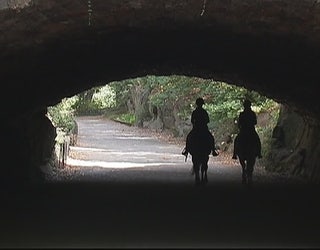 Central_Park_horseback_riding_0_20151022214036