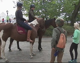 Central_Park_horseback_riding_11_20151022214032