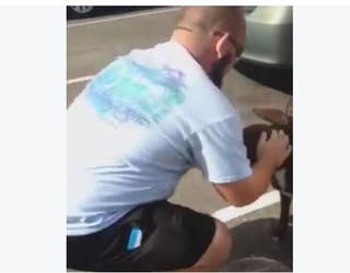 DOG SAVED2_1450124902778-401385.JPG