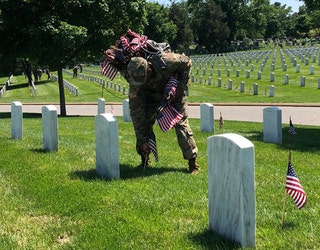 FlagsInArlingtonNationalCemetery2_1527201731601-401720.jpg