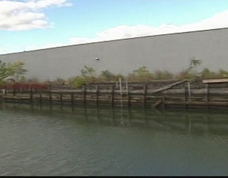 Gowanus_plants_0_20151016223055