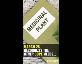 It_s_Weed_Appreciation_Day__0_20170328194230-401720