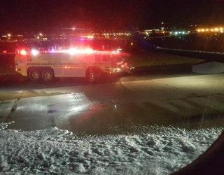 JetBluePlaneBirdStrike3_1495076415679-401720.jpg