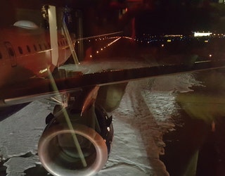 JetBluePlaneBirdStrike4_1495076415615-401720.jpg