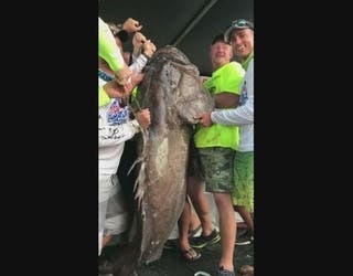 Local_firefighter_catches_massive_grou_0_20170821120910-401385