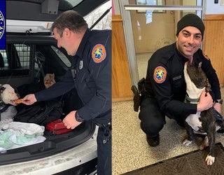 NCPD_COPS_DOG_2_021219_1550005605422.jpg