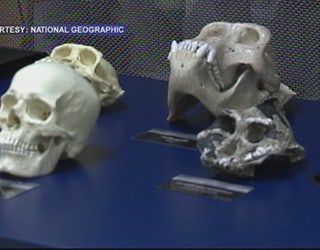 New_species_0_20150910212412