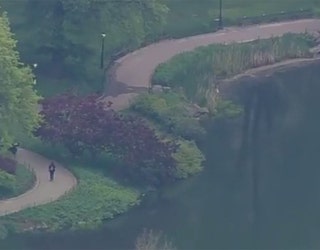 Body Pulled From Pond in Central Park