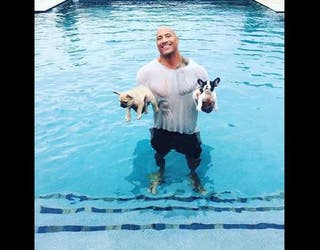 Puppies_1443579112734-408795.JPG