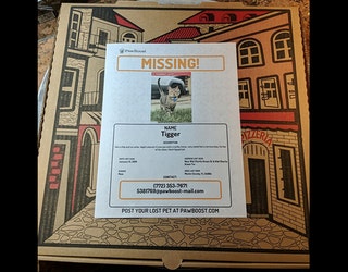 Matawan Pizzeria Puts Missing Pet Pics On Their Pizza Boxes