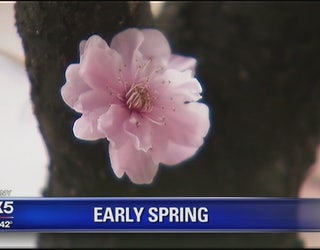 Spring_like_weather_3_20160315025115