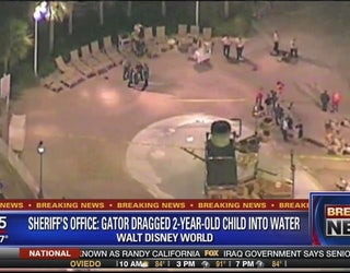 Toddler_dragged_into_water_by_alligator__1_20160615111258-402429
