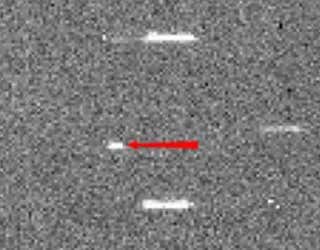 Space Junk Dubbed 'WTF'