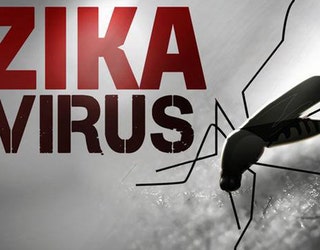 Zika Virus File