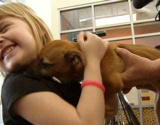 V-CARROLLTON PUPPY HEROIN O1_1489015851284-409650.jpg