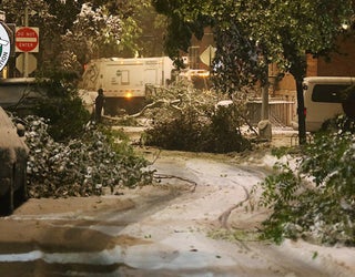SANITATION_SNOW_TREES_111518_1542332151390.jpg