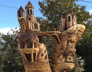 castle_tree_1516817799821-401720.jpg