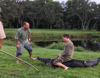 cleawaterpd_alligatorbite_091018_1536618587180-401385.jpg