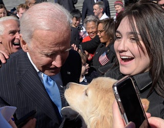bidendog1_1490409691639.jpg