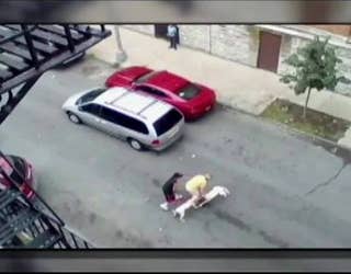 dogattack2_1442234188198.jpg