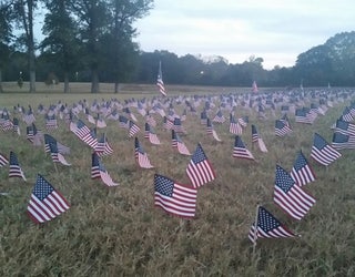 flag3_1478577243274-404959.jpg